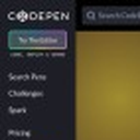 CodePen