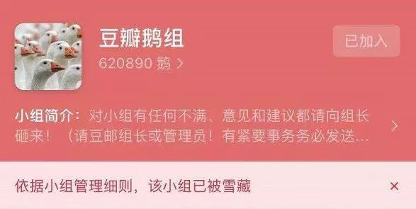 好人阿北，和拧巴的豆瓣